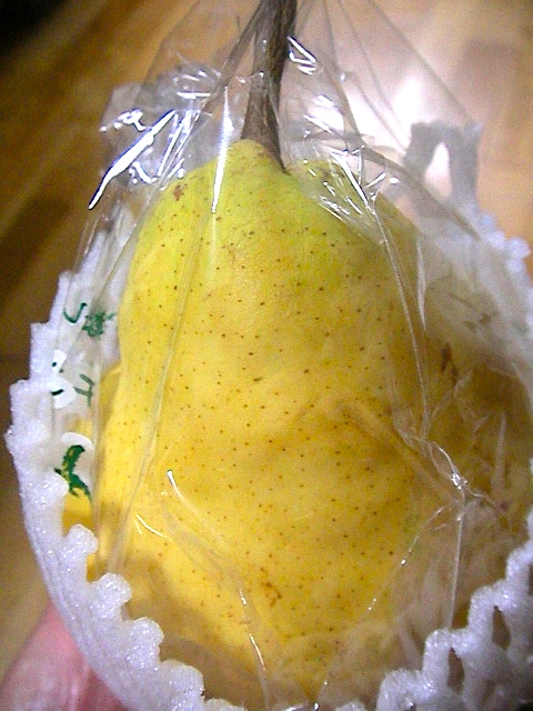 f:id:sattisatisatti:20111213223937j:image:w640 f:id:sattisatisatti:20111213223937j:image:w640