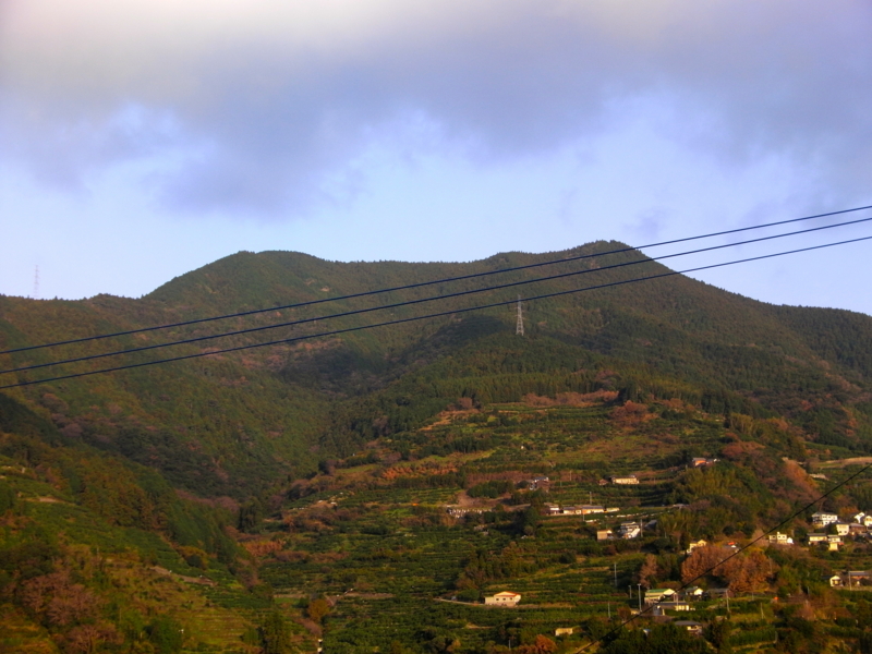 f:id:sattisatisatti:20111230003817j:image:w360 f:id:sattisatisatti:20111230003817j:image:w360
