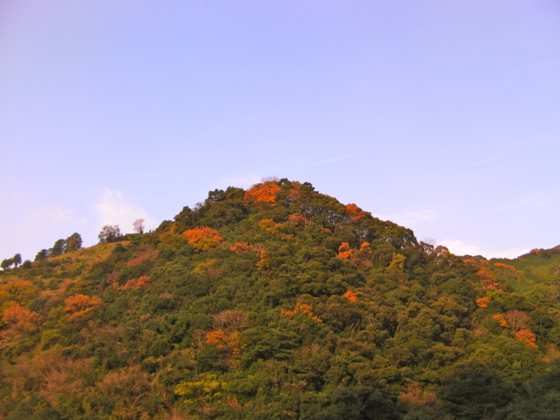 f:id:sattisatisatti:20111230003818j:image:w360 f:id:sattisatisatti:20111230003818j:image:w360