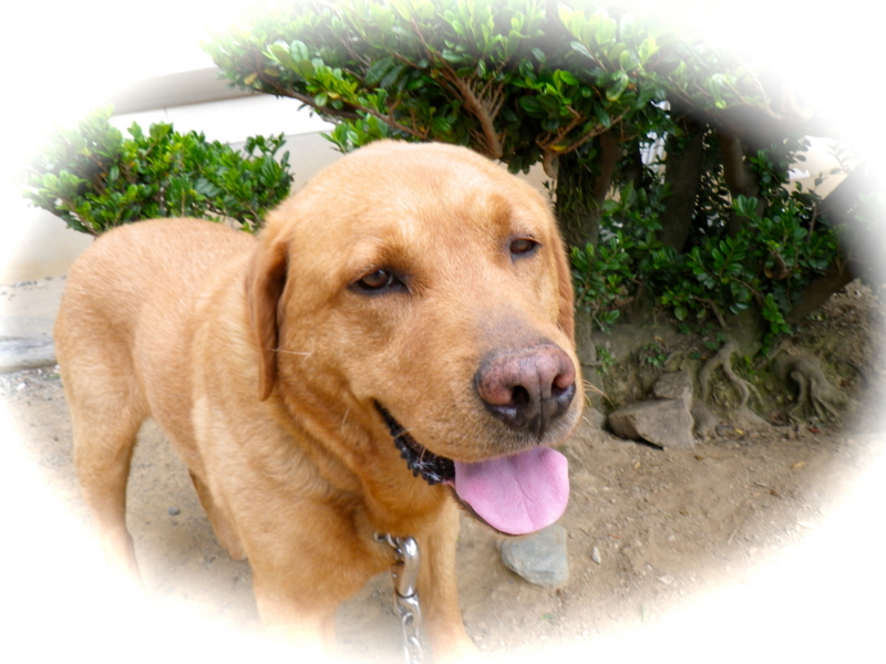 f:id:sattisatisatti:20120602234413j:image:w360 f:id:sattisatisatti:20120602234413j:image:w360