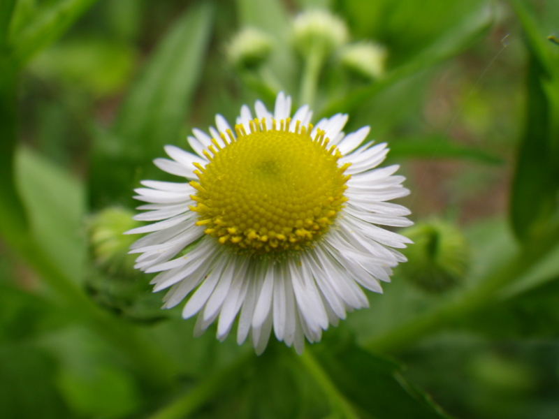 f:id:sattisatisatti:20120602234426j:image:w640 f:id:sattisatisatti:20120602234426j:image:w640
