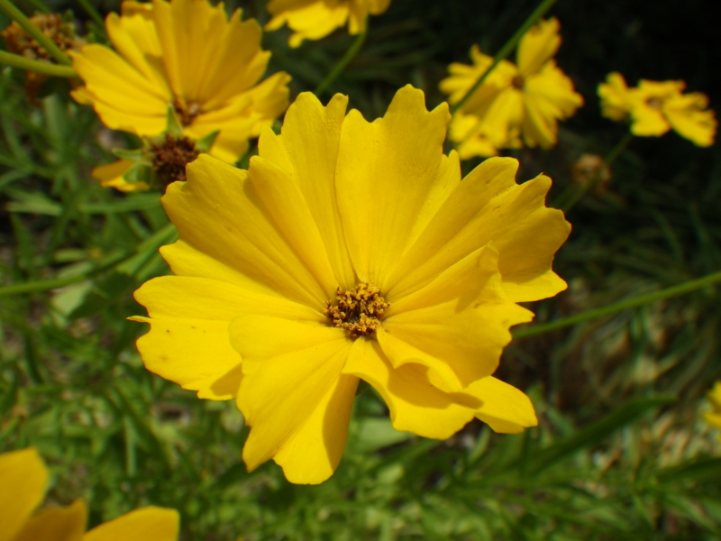 f:id:sattisatisatti:20120604001506j:image:w640 f:id:sattisatisatti:20120604001506j:image:w640