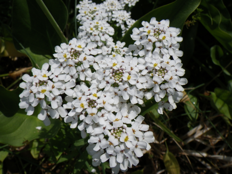f:id:sattisatisatti:20120604001510j:image:w640 f:id:sattisatisatti:20120604001510j:image:w640