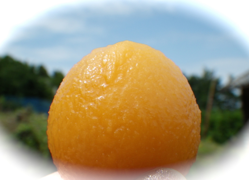f:id:sattisatisatti:20120604001514j:image:w360 f:id:sattisatisatti:20120604001514j:image:w360