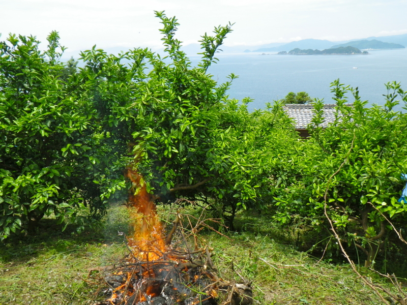 f:id:sattisatisatti:20120604001515j:image:w360 f:id:sattisatisatti:20120604001515j:image:w360