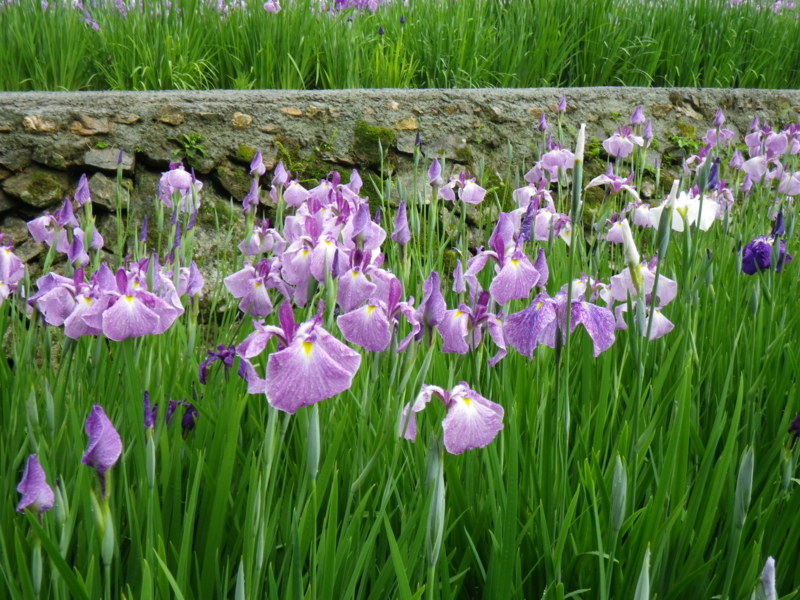 f:id:sattisatisatti:20120605223911j:image:w640 f:id:sattisatisatti:20120605223911j:image:w640