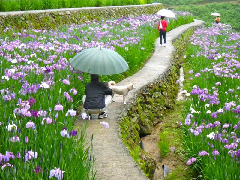 f:id:sattisatisatti:20120605223917j:image:w640 f:id:sattisatisatti:20120605223917j:image:w640