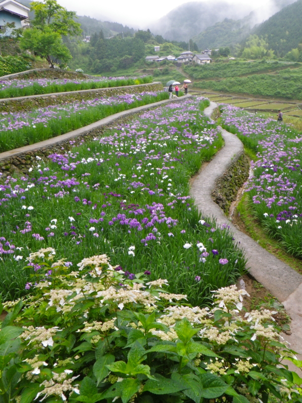 f:id:sattisatisatti:20120605223918j:image:w640 f:id:sattisatisatti:20120605223918j:image:w640