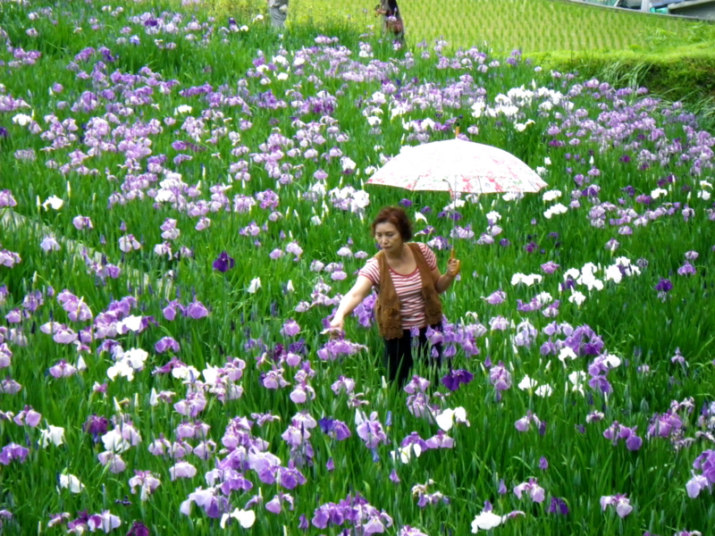 f:id:sattisatisatti:20120605223921j:image:w320 f:id:sattisatisatti:20120605223921j:image:w320