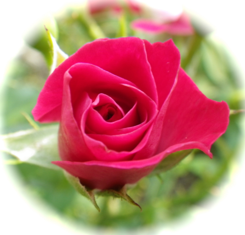 f:id:sattisatisatti:20120615004250j:image:w400 f:id:sattisatisatti:20120615004250j:image:w400