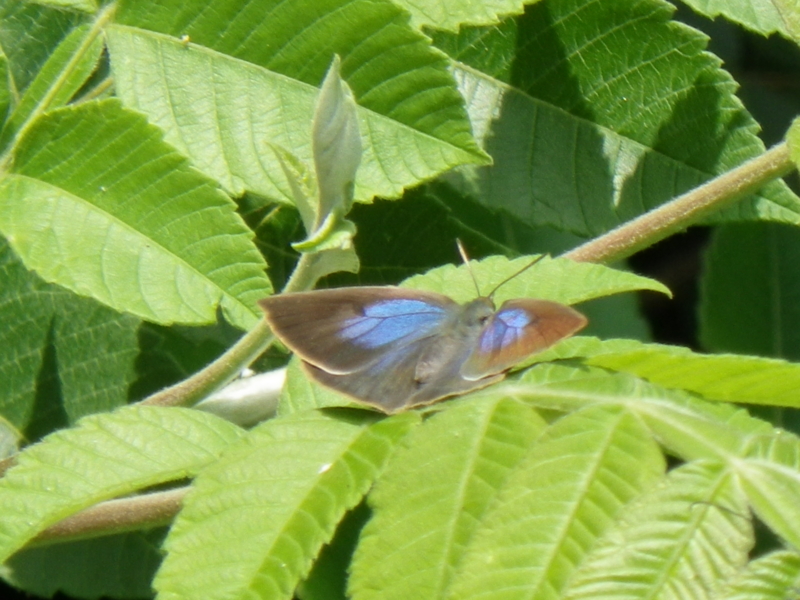 f:id:sattisatisatti:20120615004253j:image:w640 f:id:sattisatisatti:20120615004253j:image:w640