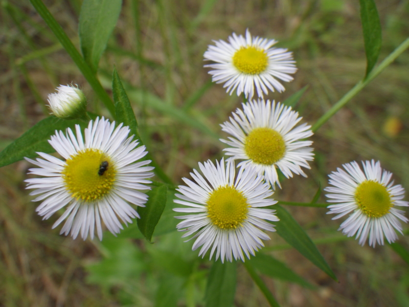 f:id:sattisatisatti:20120615004832j:image:w640 f:id:sattisatisatti:20120615004832j:image:w640