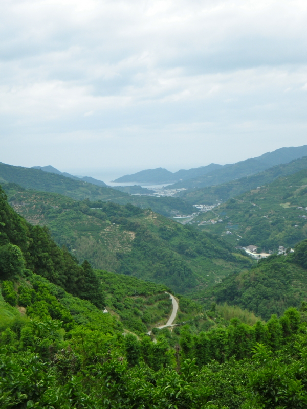 f:id:sattisatisatti:20120616040809j:image:w360