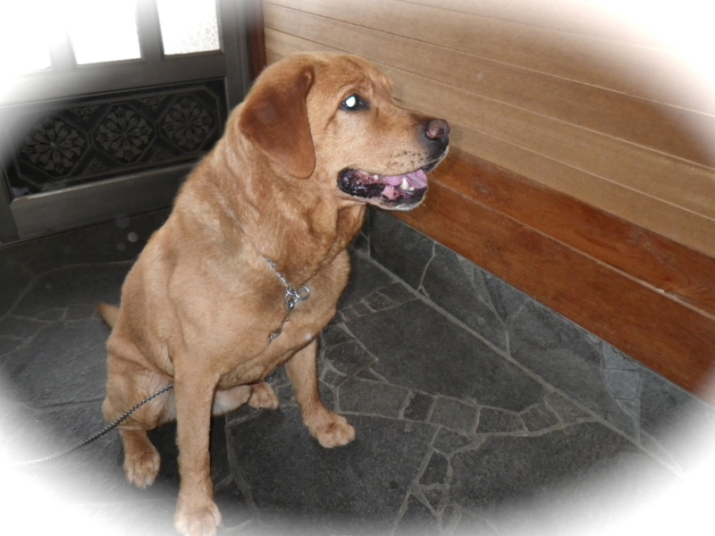 f:id:sattisatisatti:20120616040815j:image:w360