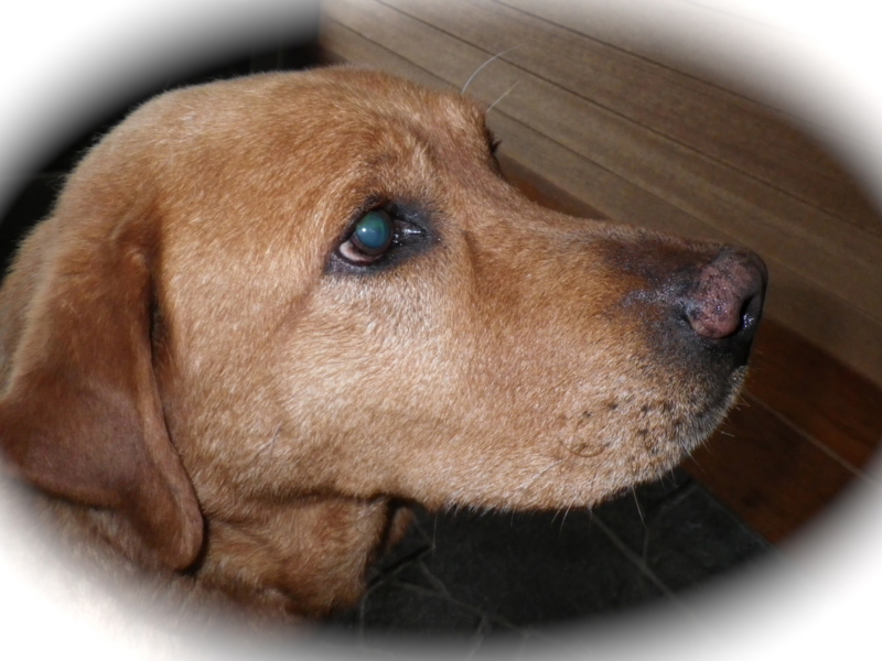 f:id:sattisatisatti:20120616040818j:image:w360