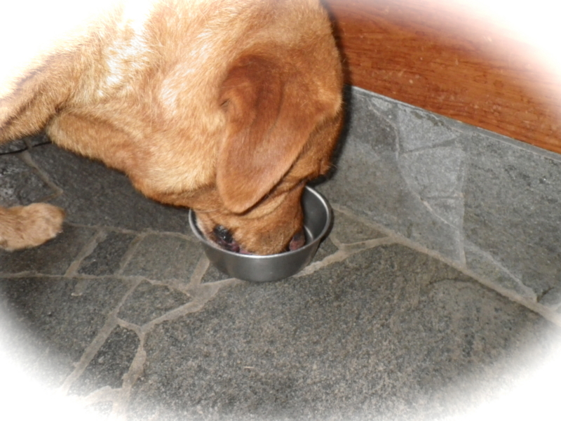 f:id:sattisatisatti:20120616040822j:image:w360