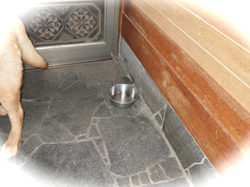 f:id:sattisatisatti:20120616040823j:image:w360