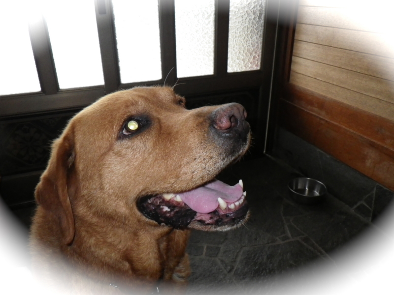 f:id:sattisatisatti:20120616040824j:image:w360