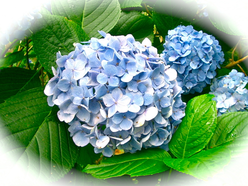 f:id:sattisatisatti:20120624055907j:image:w640