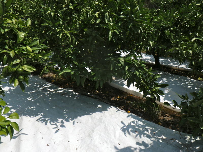 f:id:sattisatisatti:20120902064442j:image:w360