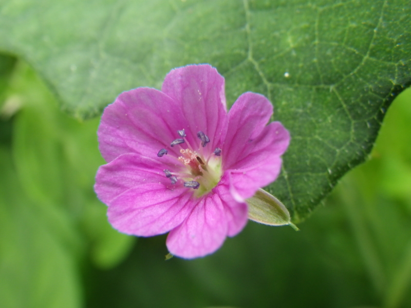 f:id:sattisatisatti:20120902064445j:image:w640