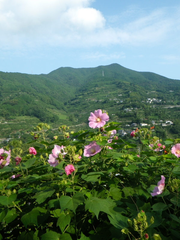 f:id:sattisatisatti:20120907215322j:image:w360 f:id:sattisatisatti:20120907215322j:image:w360