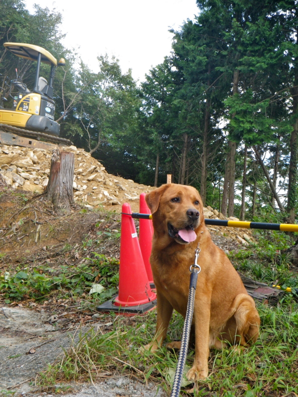 f:id:sattisatisatti:20120918011529j:image:w360
