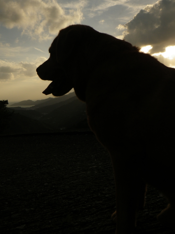 f:id:sattisatisatti:20120918011537j:image:w360