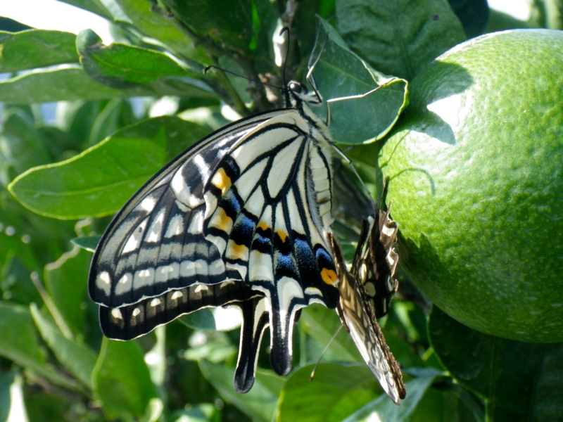 f:id:sattisatisatti:20120920040852j:image:w640 f:id:sattisatisatti:20120920040852j:image:w640