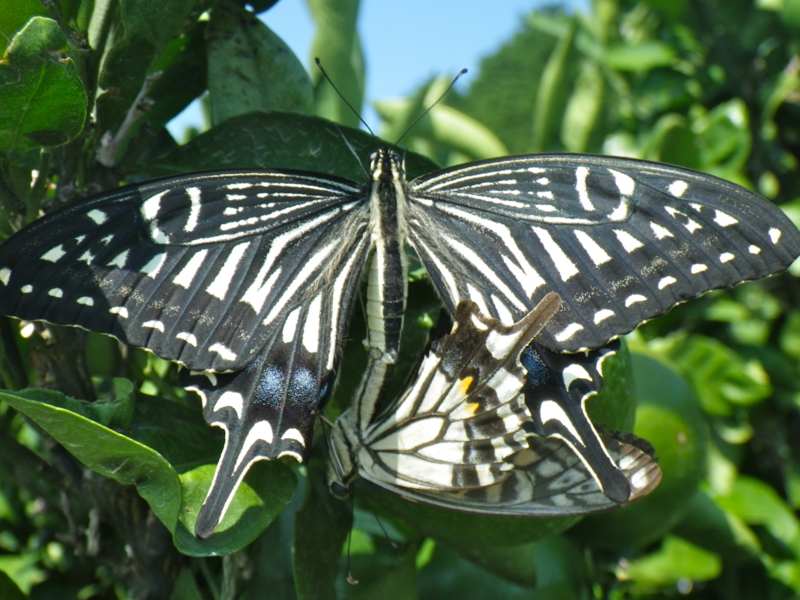 f:id:sattisatisatti:20120920040853j:image:w640 f:id:sattisatisatti:20120920040853j:image:w640