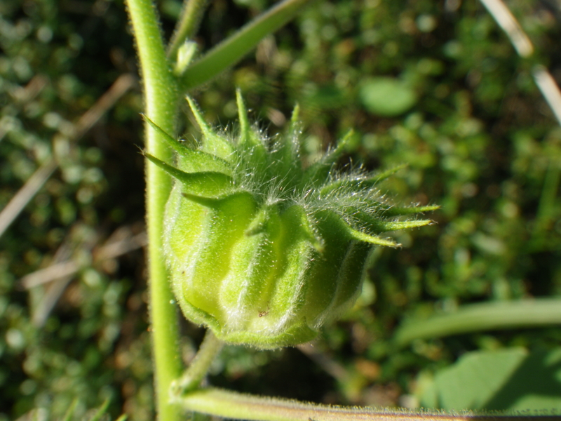 f:id:sattisatisatti:20120920040859j:image:w640 f:id:sattisatisatti:20120920040859j:image:w640