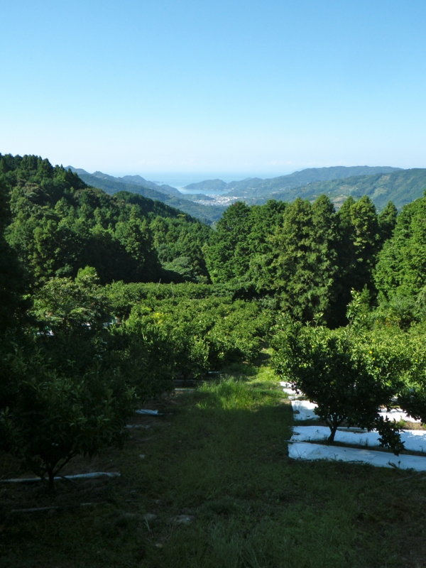 f:id:sattisatisatti:20120928062850j:image:w360