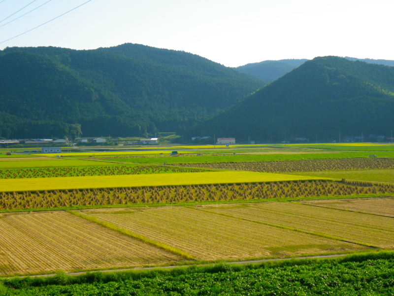f:id:sattisatisatti:20120928062853j:image:w640