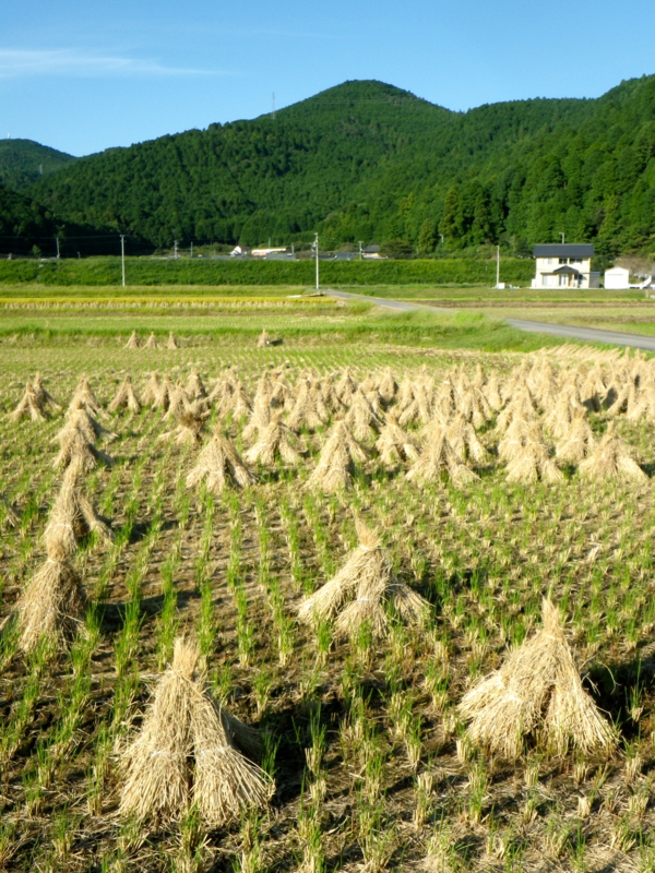 f:id:sattisatisatti:20120928063625j:image:w640