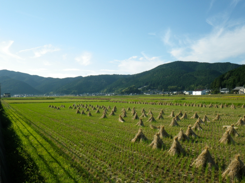 f:id:sattisatisatti:20120928063626j:image:w640