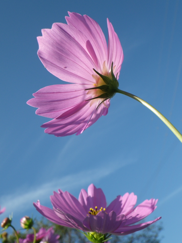 f:id:sattisatisatti:20120928063628j:image:w640