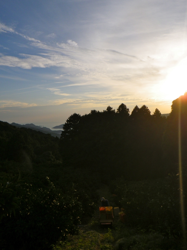 f:id:sattisatisatti:20120929131812j:image:w360