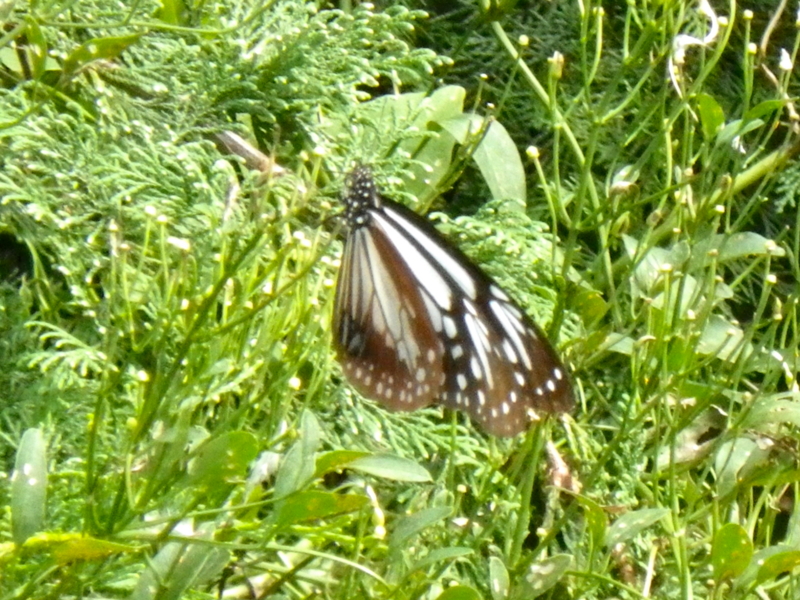 f:id:sattisatisatti:20121006200054j:image:w640