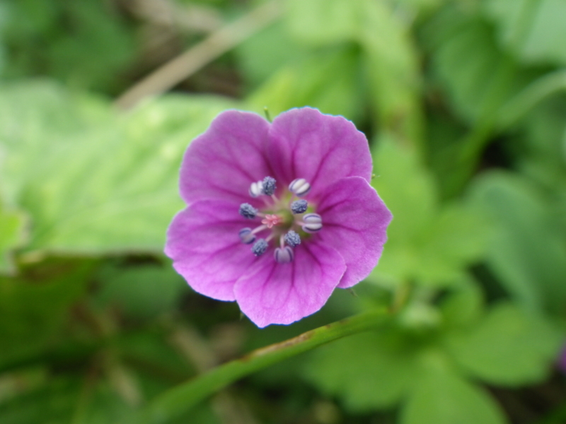 f:id:sattisatisatti:20121006200350j:image:w640