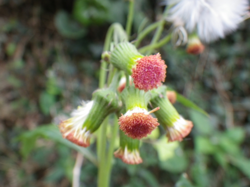 f:id:sattisatisatti:20121006200352j:image:w640