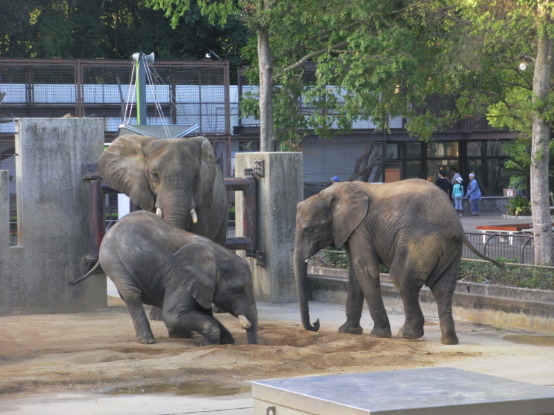 f:id:sattisatisatti:20121017192023j:image:w640