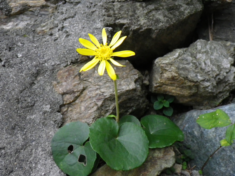 f:id:sattisatisatti:20121111194220j:image:w640