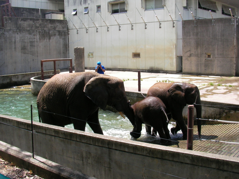 f:id:sattisatisatti:20121111195212j:image:w640
