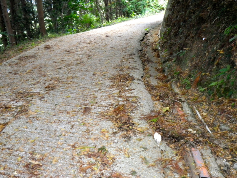 f:id:sattisatisatti:20121113002415j:image:w360 f:id:sattisatisatti:20121113002415j:image:w360