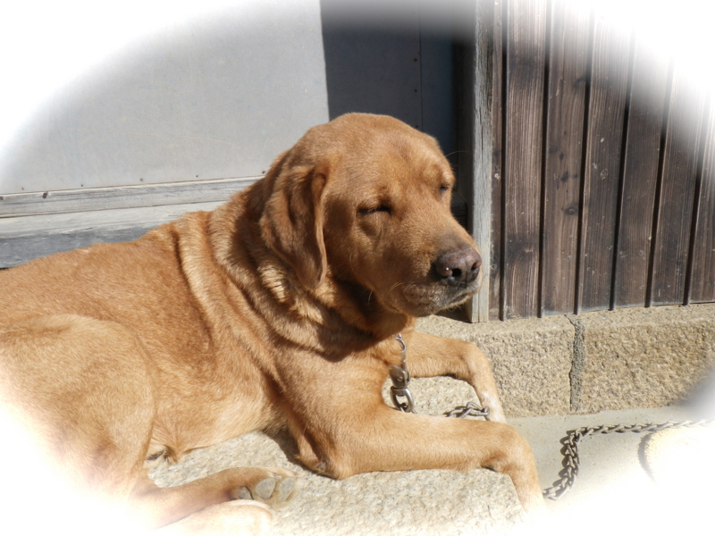 f:id:sattisatisatti:20121115211431j:image:w360 f:id:sattisatisatti:20121115211431j:image:w360
