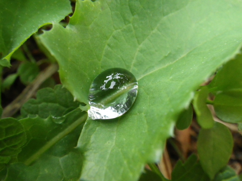 f:id:sattisatisatti:20121115211439j:image:w640 f:id:sattisatisatti:20121115211439j:image:w640