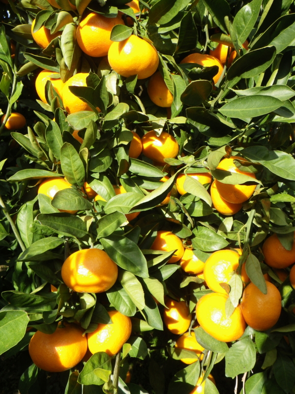 f:id:sattisatisatti:20121121192536j:image:w640 f:id:sattisatisatti:20121121192536j:image:w640