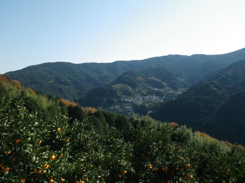 f:id:sattisatisatti:20121207234708j:image:w360 f:id:sattisatisatti:20121207234708j:image:w360
