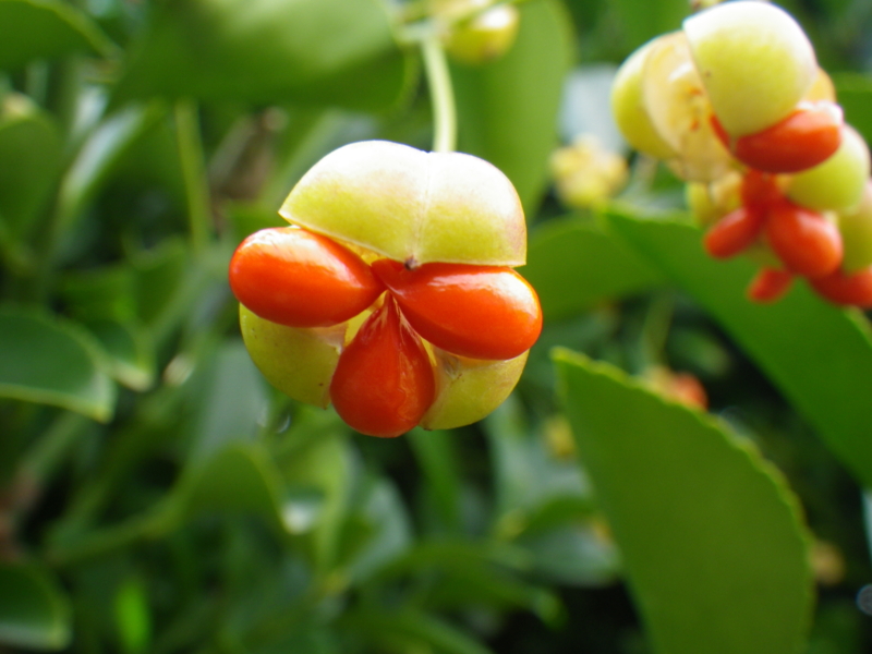 f:id:sattisatisatti:20121223222457j:image:w640