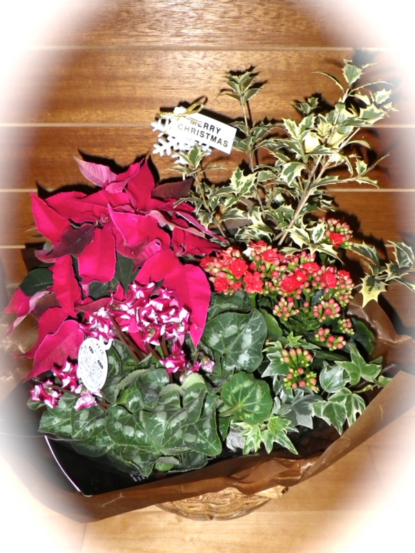f:id:sattisatisatti:20121226214351j:image:w360 f:id:sattisatisatti:20121226214351j:image:w360